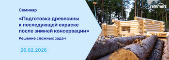Подготовка древесины к последующей окраске после зимней консервации. Решение сложных задач